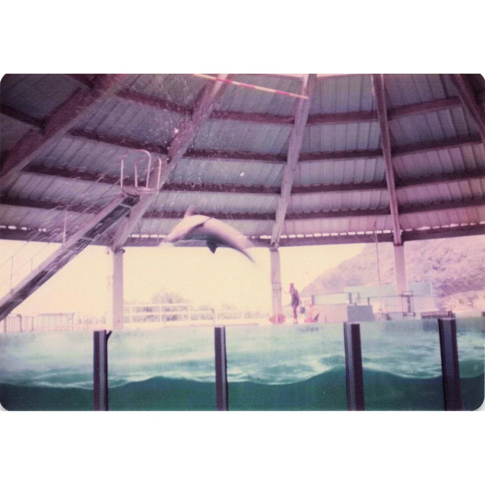 Vintage 1970s Sea Life Park Hawaii Dolphin Show Tall Ship Photo Lot of 17 - Picture 7 of 16